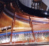 Bluthner 9 pieds 1935 concert 007