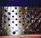 Bluthner 9 pieds 1935 concert 004