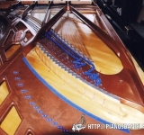 Bluthner 9 pieds 1935 concert 009